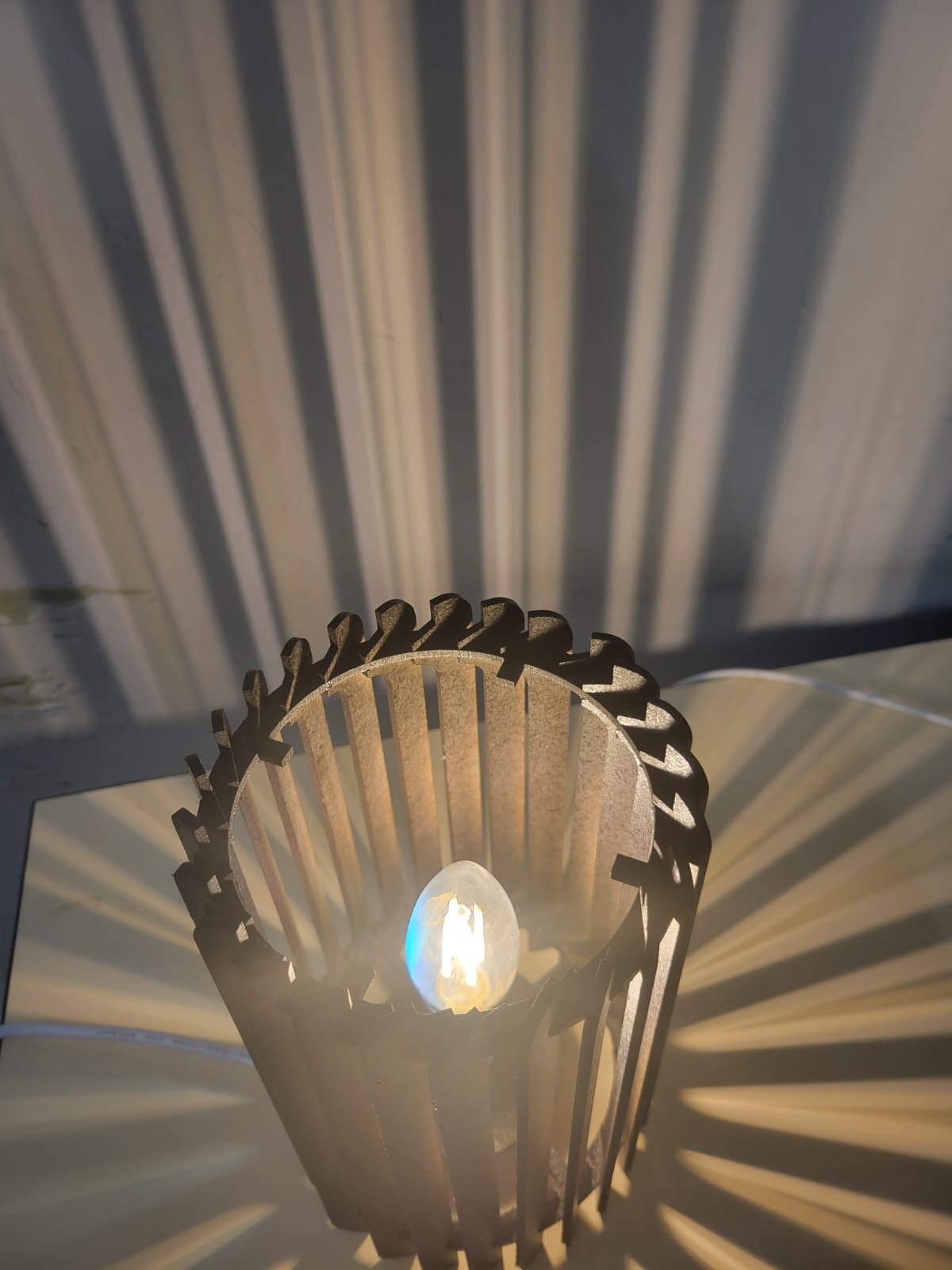 WhatsApp Image 2025-12-03 à 16.37.55_1fb04c78